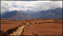 dirt road to the vilage of Maras - chemin de terre pour le village de Maras - Pérou